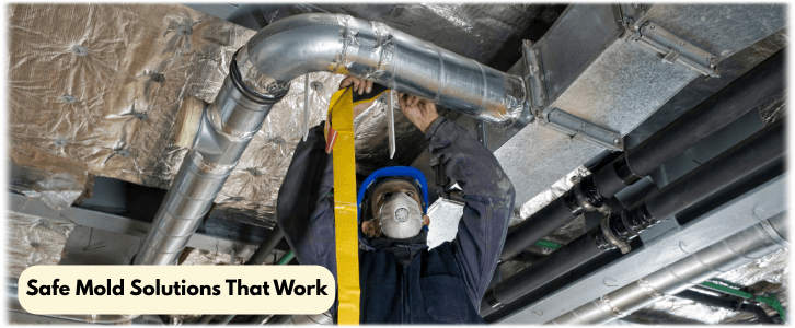 Air Duct Mold Removal in LA