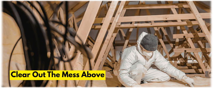 Attic Cleaning LA
