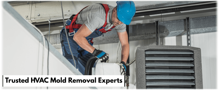 HVAC Mold Removal LA